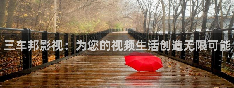 麦田影视官网：三车邦影视：为您的视频生活创造无限可能