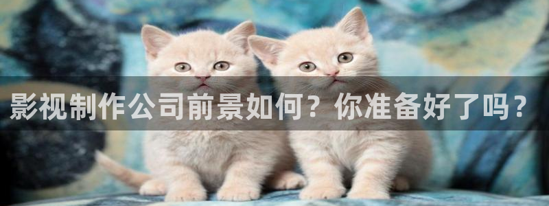 麦田电影院：影视制作公司前景如何？你准备好了吗？