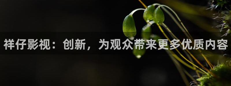 麦田实拍：祥仔影视：创新，为观众带来更多优质内容