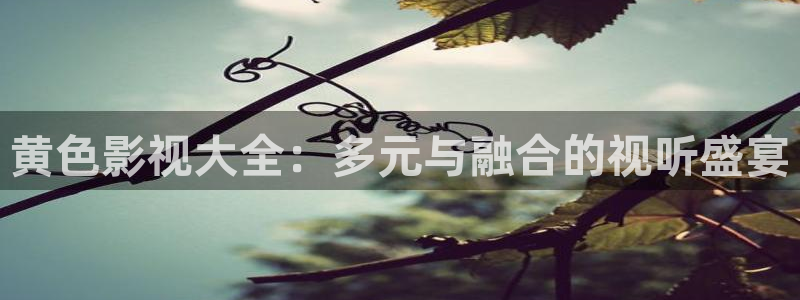 麦田影院官网：黄色影视大全：多元与融合的视听盛宴
