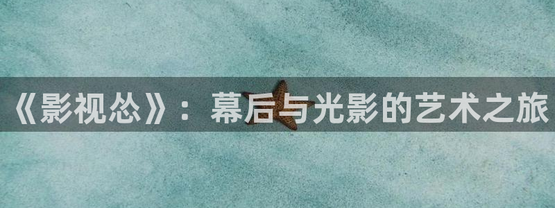 石家庄麦田汽车电影院：《影视怂》：幕后与光影的艺术之旅