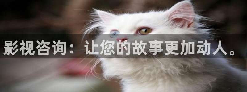 北京麦田：影视咨询：让您的故事更加动人。